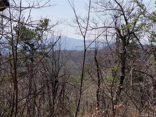 71 & 117 Sahalee Trail - Photo 1