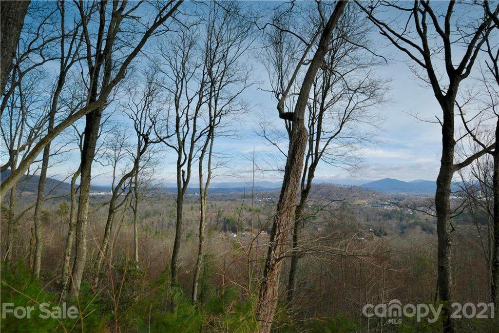 35 Ridge Pine Trail - Photo 1