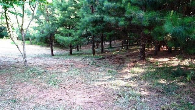 128 Greens Road - Photo 1