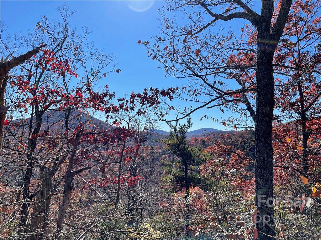 TBD Miller Cove Road - Photo 1