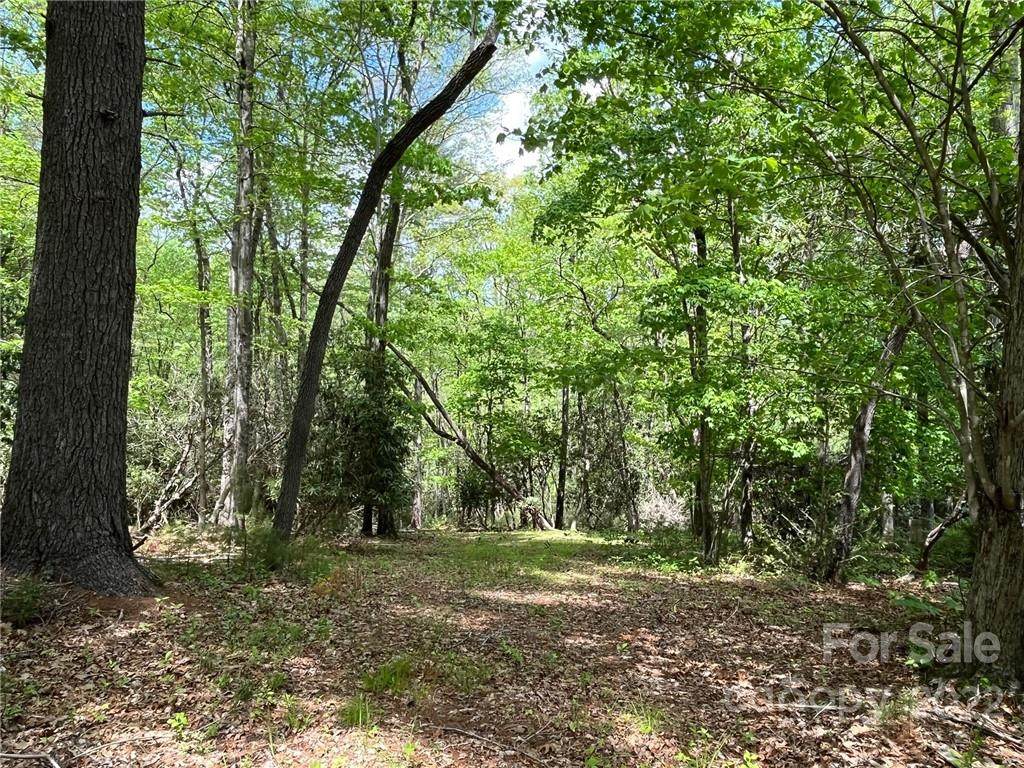51 Misty Valley Parkway - Photo 1