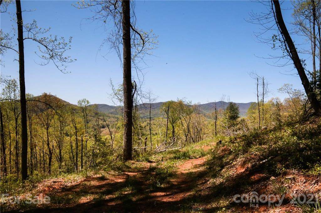 32 Arabella Lane - Photo 1