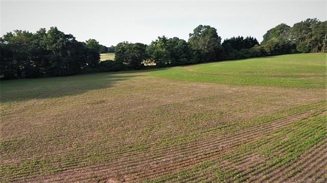 32 Acres Palm Tree Church Road - Photo 1