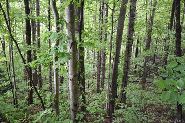Lot 25 Sweetbay Cove - Photo 1