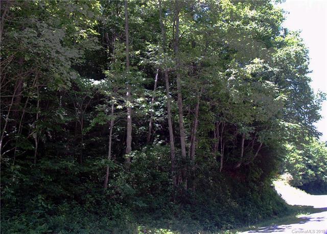 tbd Pickens Highway - Photo 1