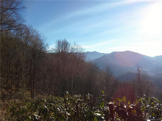 Lot 2B off Scenic View Lane - Photo 1