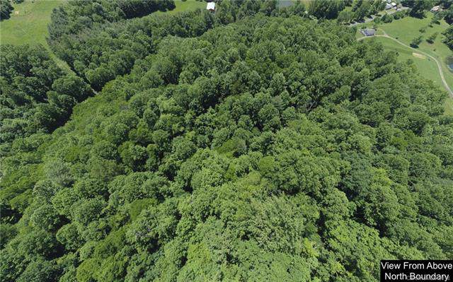 15 +/- Acres Spring Creek Road - Photo 1