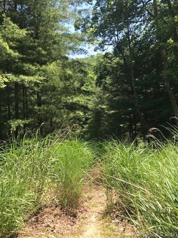 331 Mills River Way - Photo 1