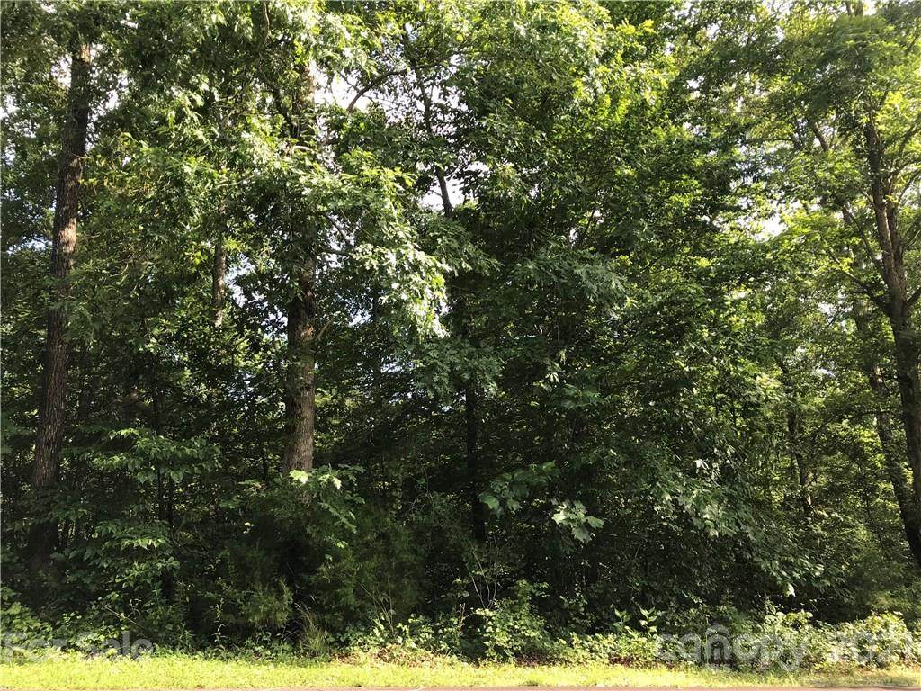 1005 River Crest Parkway - Photo 1
