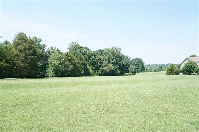 0 Robinson Road - Photo 1