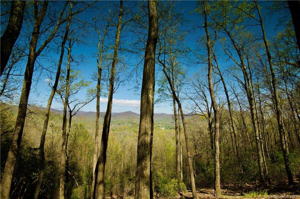 293 Secluded Hills Lane - Photo 1