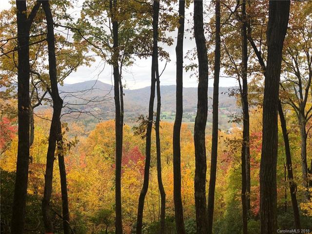 293 Secluded Hills Lane - Photo 1