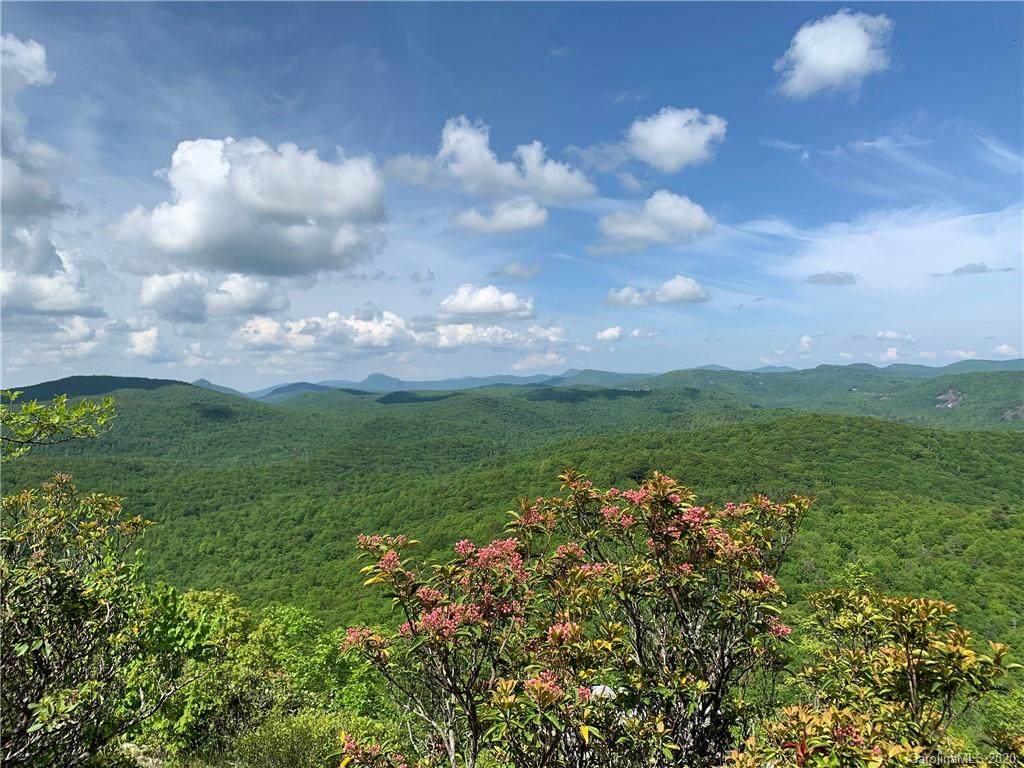 4812 Cold Mountain Road - Photo 1