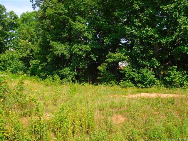 Lot 10 Innes Lane - Photo 1