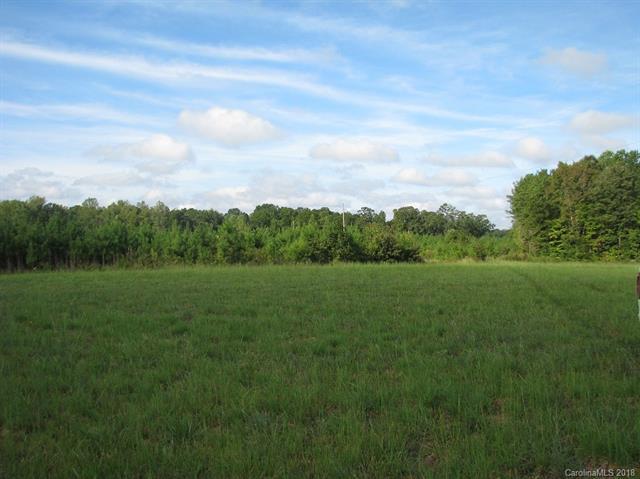30 Ac Hwy 161 Highway - Photo 1