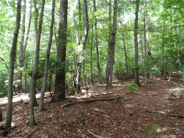 TBD Campbell Drive - Photo 1