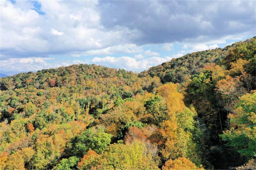 0 Mountain Forest Estates Road - Photo 1