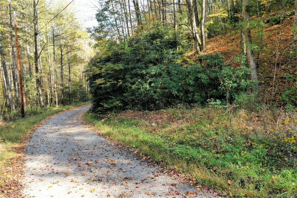 VL40 Mountain Forest Estates - Photo 1