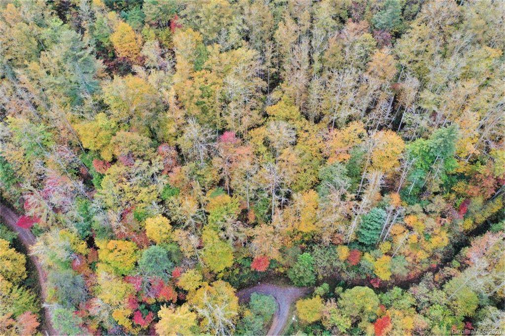 VL74 Mountain Forest Estates - Photo 1
