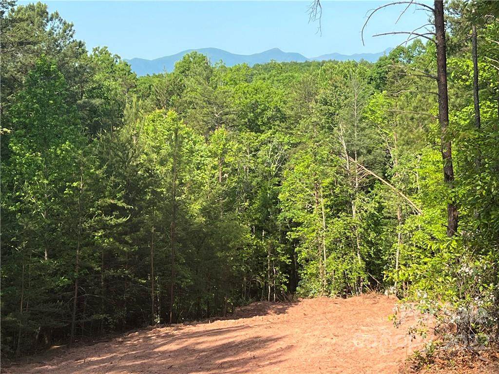 Lot# 19 Pisgah Preserve Drive - Photo 1