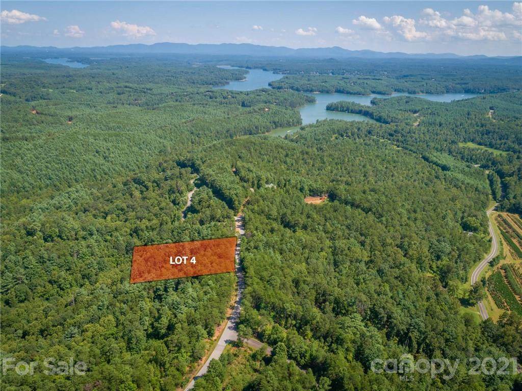 3112 Pisgah Preserve Drive - Photo 1