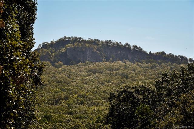 1005 Mountain Crest Drive - Photo 1