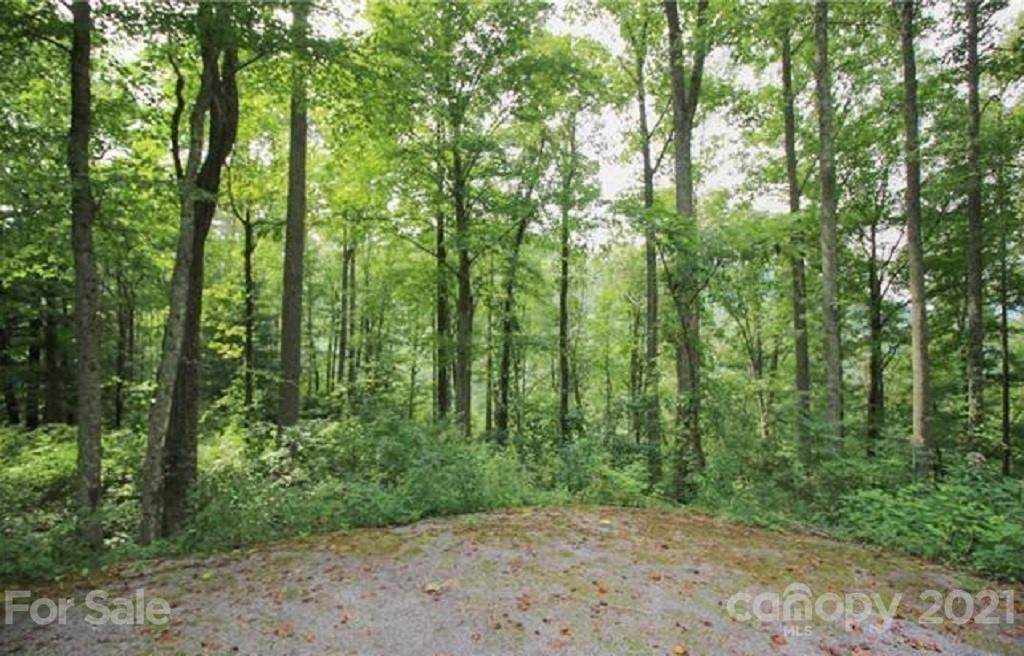 99999 Winding Ridge Road - Photo 1