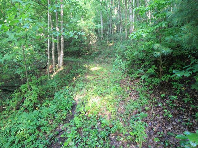 0000 Mountain View Road - Photo 1