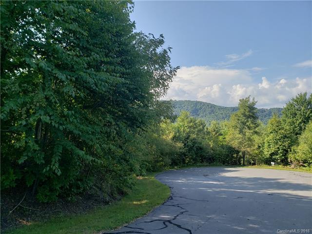 Lot 13 Feather Falls Trail - Photo 1