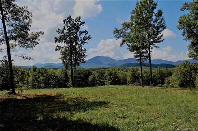 834 Belue Mill Road - Photo 1