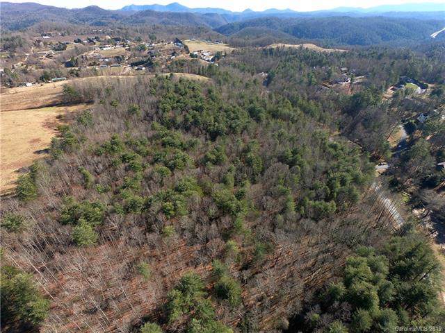 0 Howard Gap Road - Photo 1