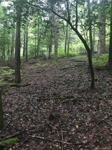 L11 Deerlake Road - Photo 1