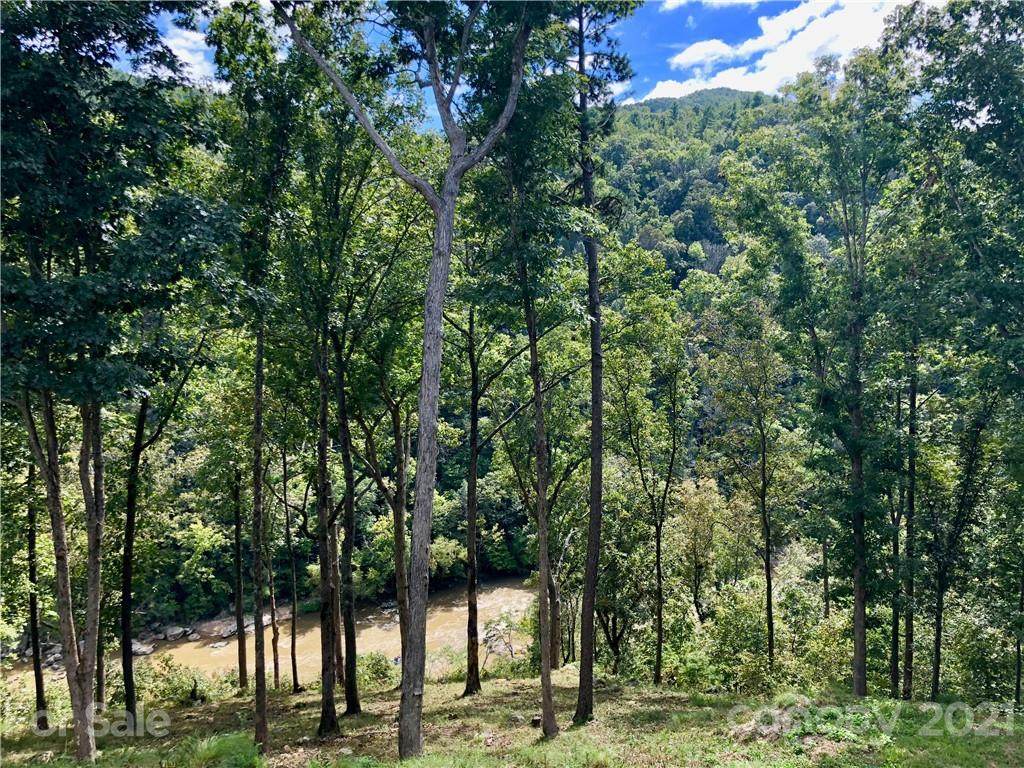 3519 French Broad Parkway - Photo 1
