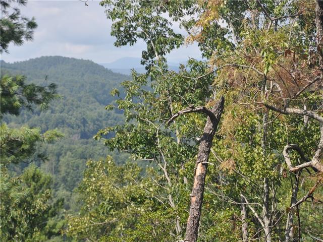 28.3 Acres Sam King Road - Photo 1