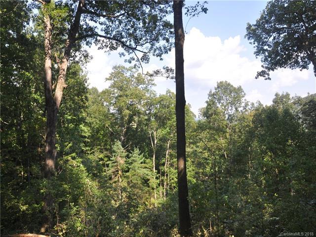 LOT 38 + Pheasant Run - Photo 1