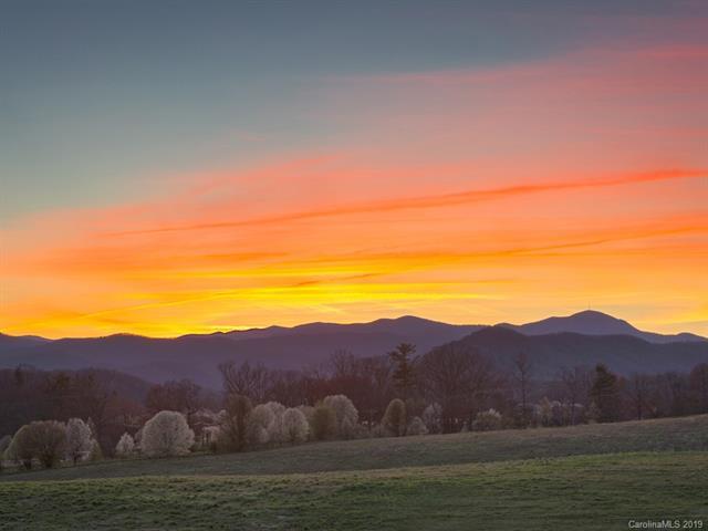 19 Pisgah Ridge Trail - Photo 1