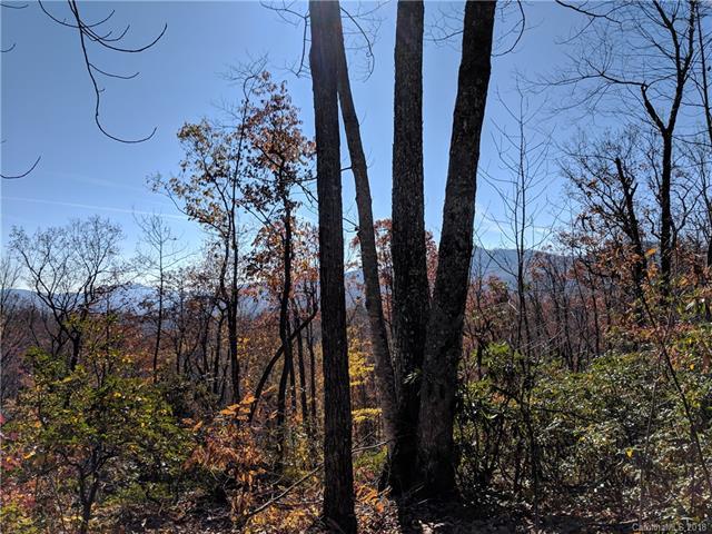 20.3+ Acres on Rocky Knob Road - Photo 1