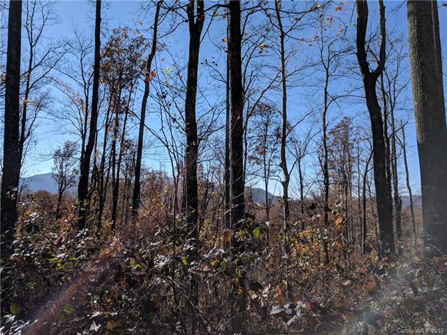 12.2 acres on Rocky Knob Road - Photo 1