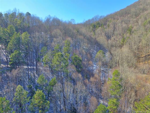 0 Roberts Mountain Road - Photo 1