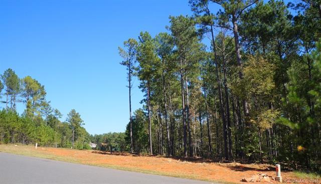 6005 Chimney Bluff Road - Photo 1