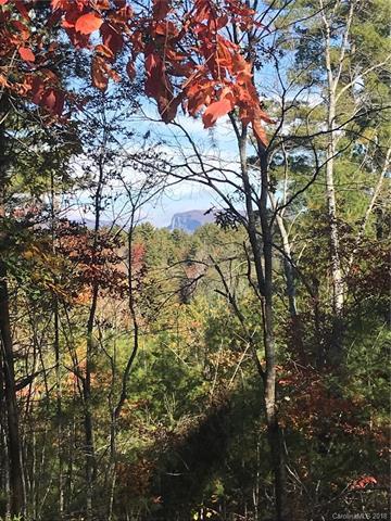 2054 Catawba Trail - Photo 1