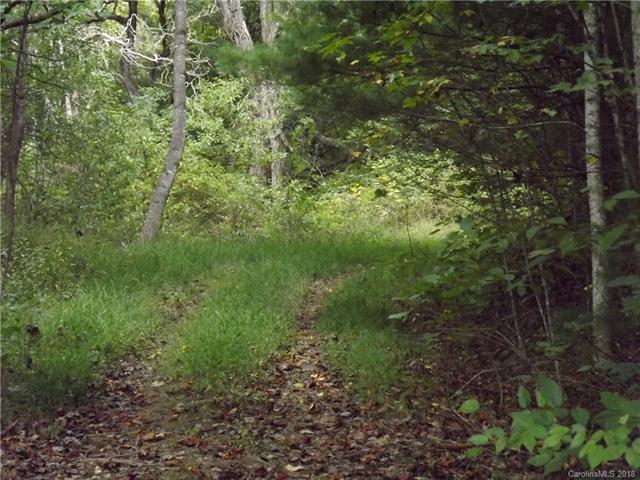 C Winding Branch Trail - Photo 1