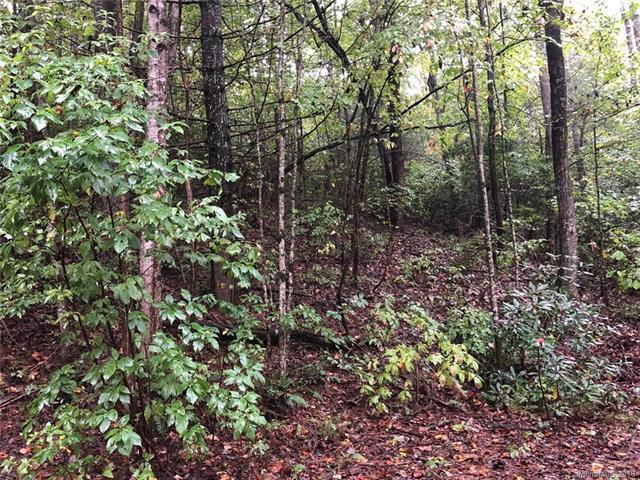 00 Shadow Brook Drive - Photo 1