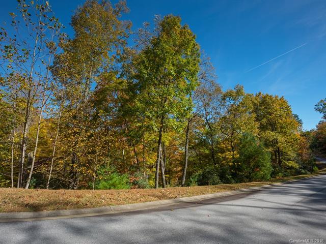 Lot 98 May Fly Lane - Photo 1