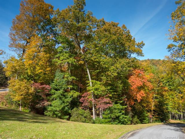 Lot 96 May Fly Lane - Photo 1