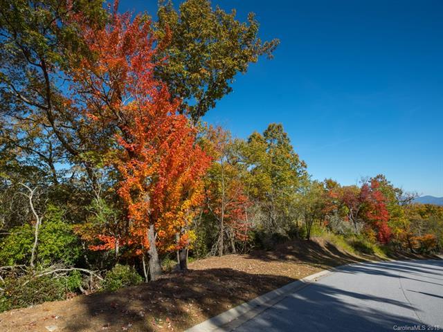 Lot 113 Blue Mountain Way - Photo 1