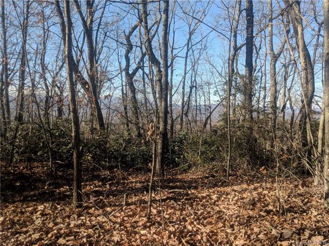 0 Grants Mountain Road - Photo 1