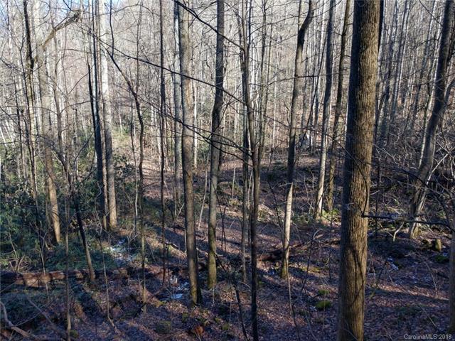 P12-54 Green River Cove Road - Photo 1