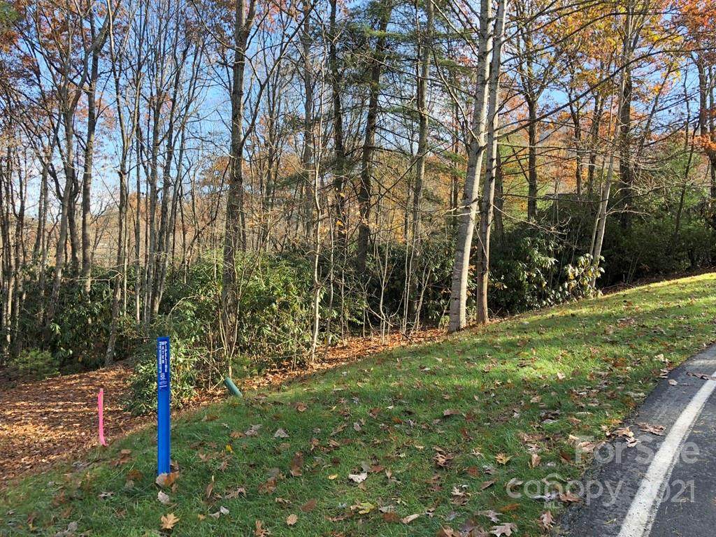 60 Old Hickory Trail - Photo 1