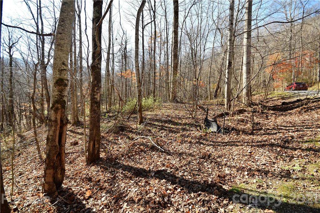 #19 Lot Tranquility Trail - Photo 1